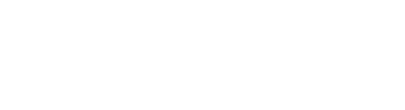 SAV3